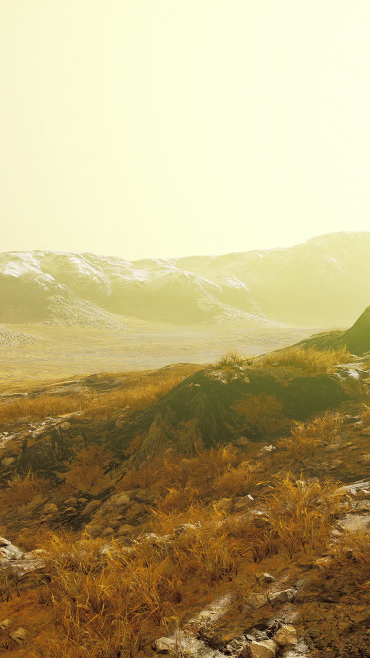 un hermoso campo de hierba amarilla con montañas en el fondo