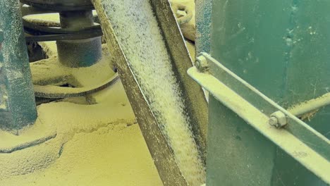 white rice coming out from rice milling machine