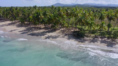 Vista-Aérea-Alrededor-De-Palmeras-En-La-Costa-De-Playa-Costa-Esmeralda,-Miches-En-República-Dominicana