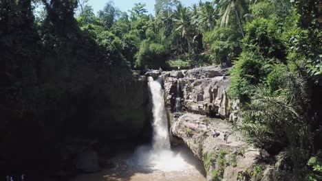 waterfall in green rainforest