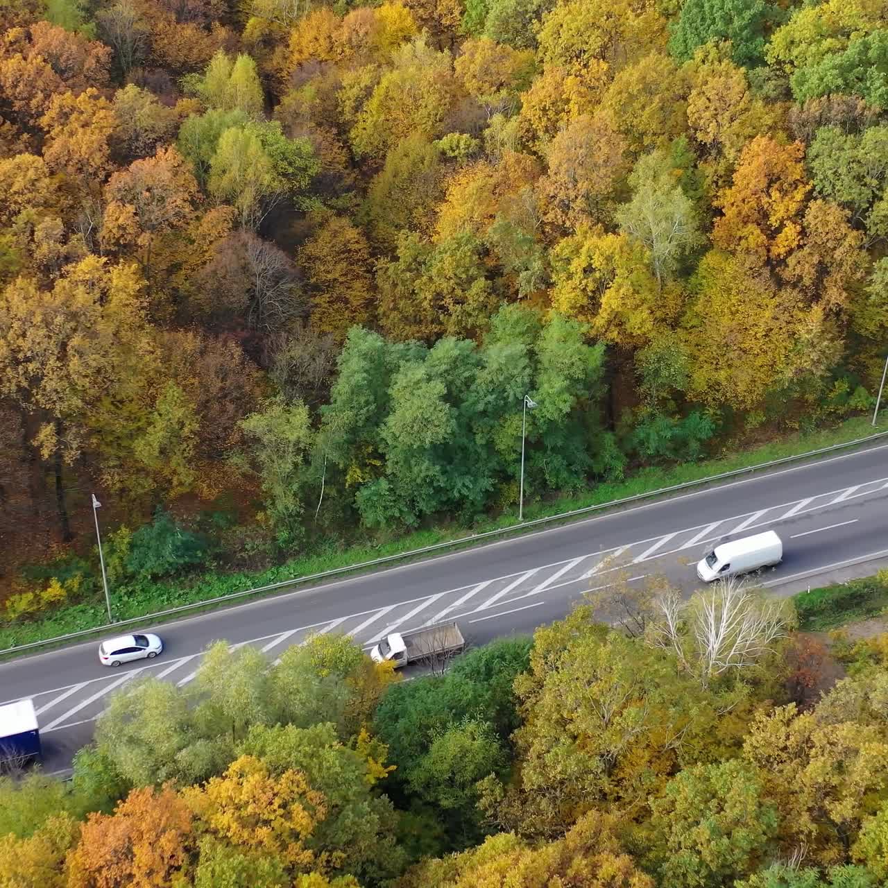 Road with cars in forest. Cars driving up the road through colorful autumn forest. Colorful trees in both sides of a highway. Aerial view