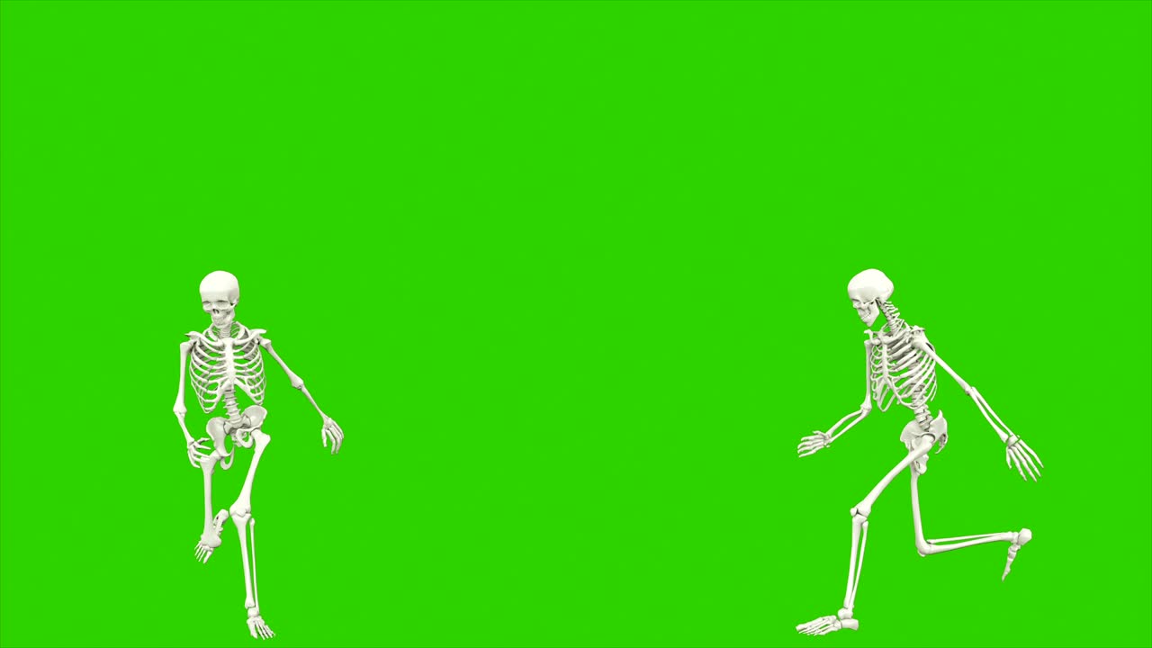 salti di scheletro. animazione a loop senza soluzione di continuità sullo schermo verde.