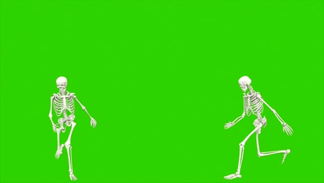 saltos de esqueleto. animación de bucle sin costuras en pantalla verde.