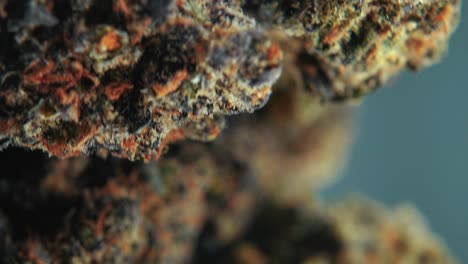 una toma cinemática macro vertical detallada de una planta de cannabis, variedades híbridas, indica y sativa, flor de marihuana púrpura, en un soporte giratorio de 360, cámara lenta, video 4k, iluminación de estudio
