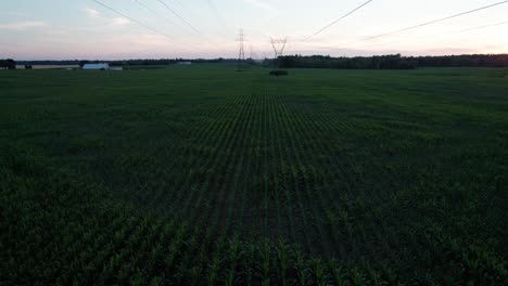 Flying-Forward-Over-Green-Grass-Power-Lines