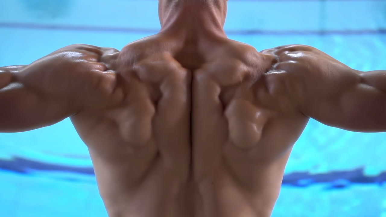 Muscular Male Swimmer Back At Pool Flexing Lats And Shoulders Under Bright Aquatic Lighting, Defined Trapezius