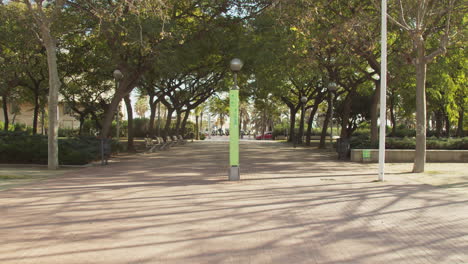 Open-city-park-with-many-trees-in-winter