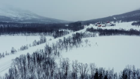 Flying-over-Nordic-Forest-in-Wintertime