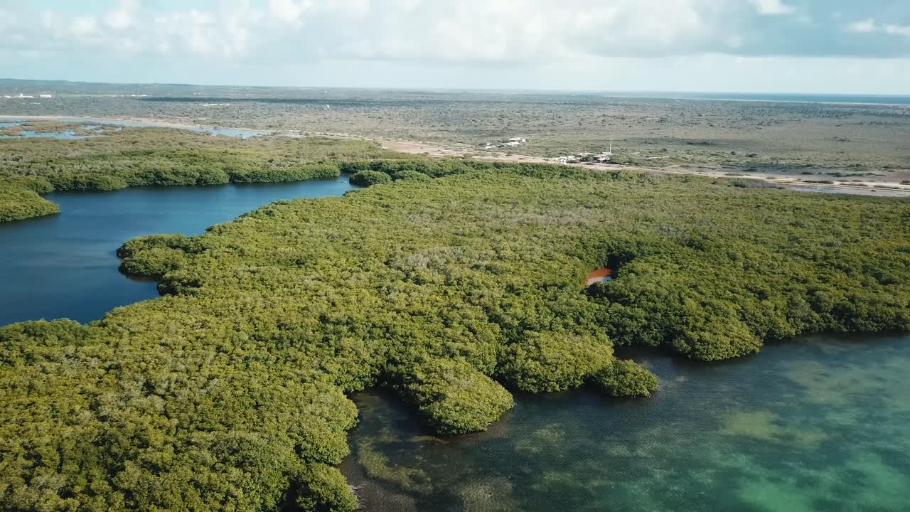 hermosa vista aérea de los manglares de bonaire, en el caribe holandés, sudamérica