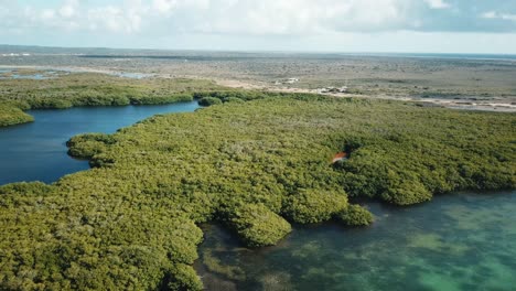 Beautiful-aerial-view-of-the-mangroves-of-Bonaire,-in-the-Dutch-Caribbean,-South-America