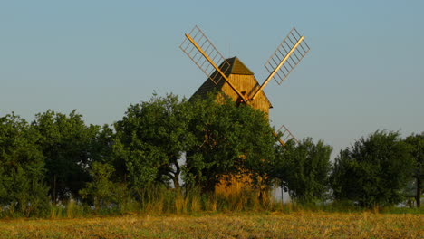 Blick-Auf-Eine-Historische-Holzmühle-Und-Ihre-Flügel,-Die-Zwischen-Den-Apfelbäumen-Stehen