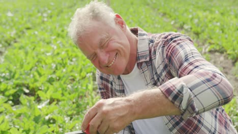 mature man working on farm