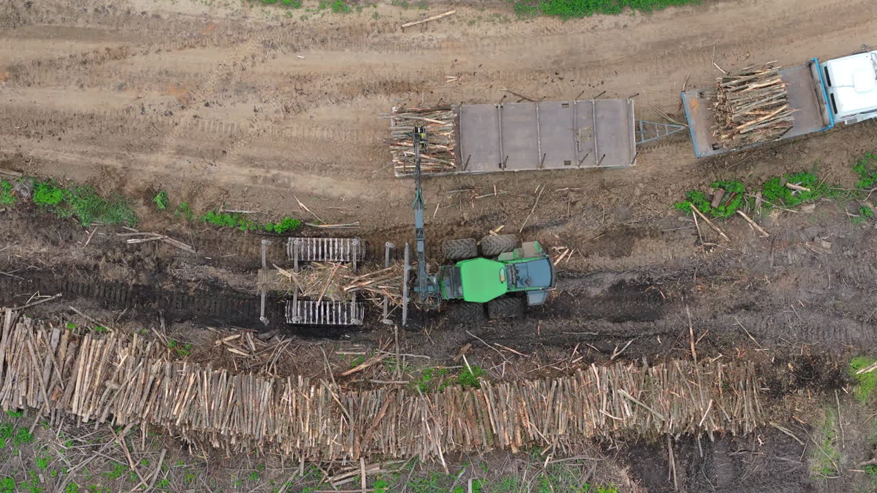 Top-down shot of a forestry machine gathering cut trees and loading them onto a truck hanger.