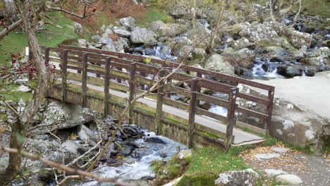 wooden waterfall bridge bare autumn tree branches over rocky river torrent dolly left