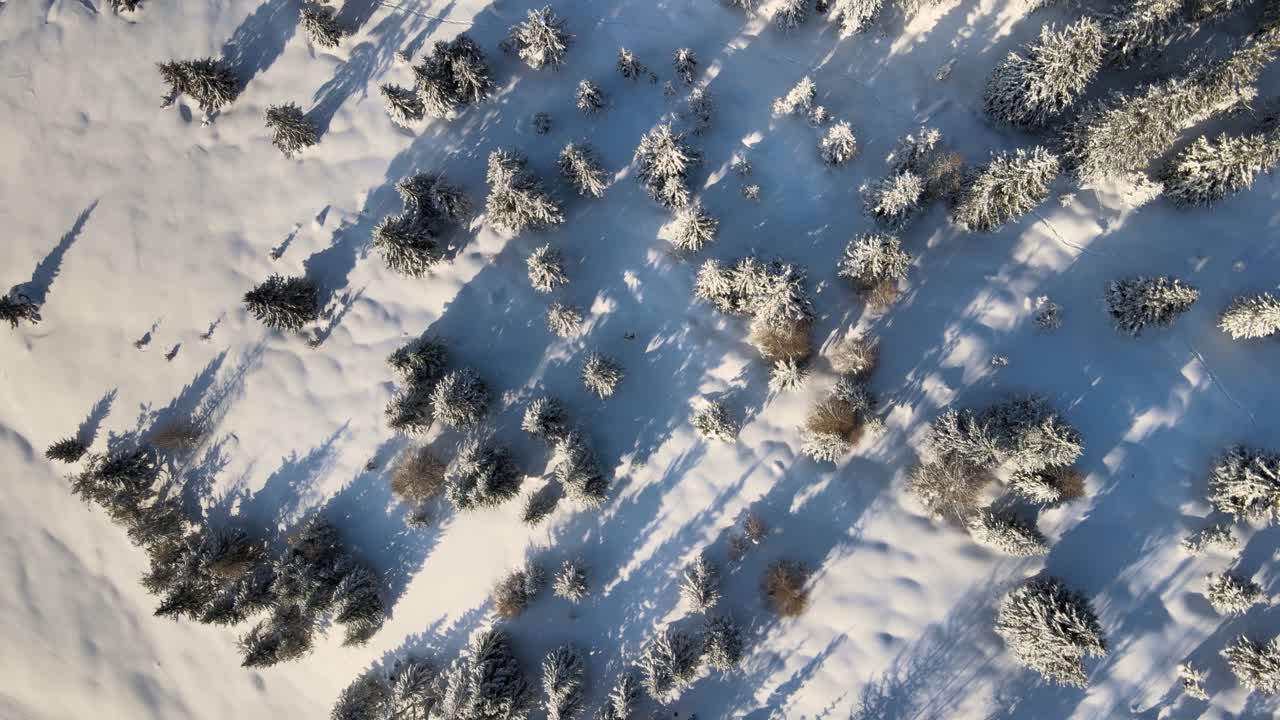 de smukke italienske alper om vinteren med træer fulde af sne og en utrolig solnedgang