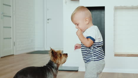 1-Jahr-Cooles-Kind-Füttert-Hundekekse-HD-Video