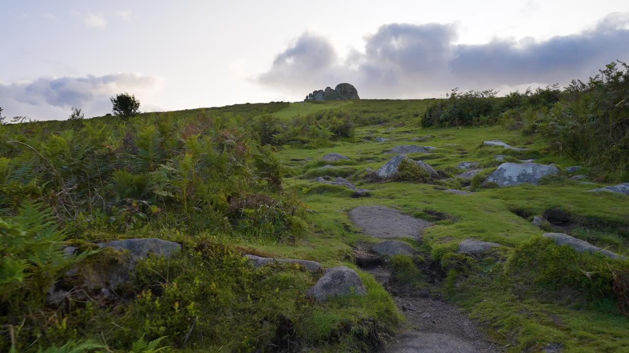 Scenic Hiking Trail on a Hillside with Rocks and Grass