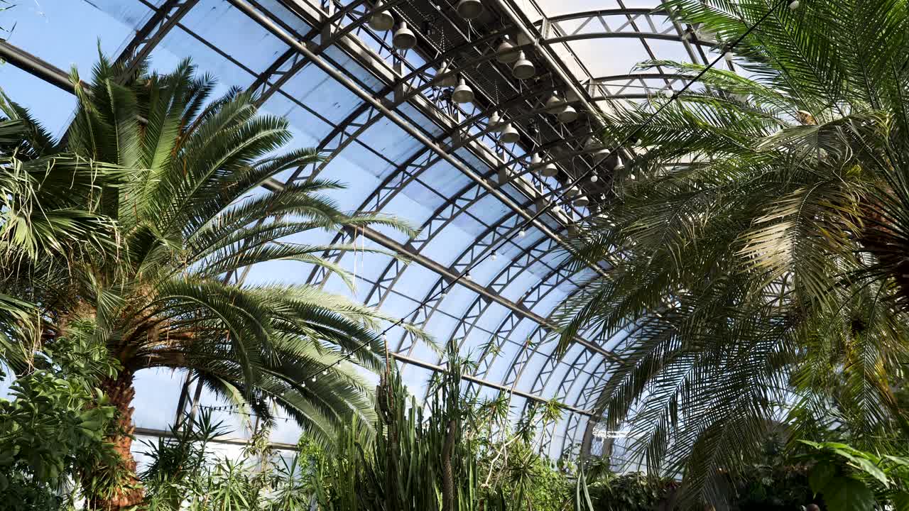 interior de los invernaderos tropicales