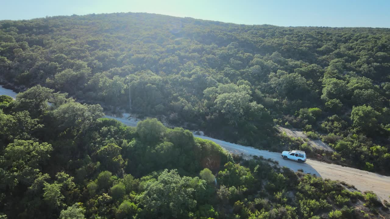 A white SUV drives on a winding dirt road through a lush green forest in Tunisia. Perfect for travel and adventure themes.