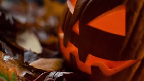 halloween carving pumpkin on a leafs. shining jack-o'-lantern. looping cinemagraph. still picture, moving light