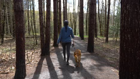 Aktives,-Gesundes-Puerto-ricanisches-Mädchen,-Das-Mit-Seinem-Hund-Im-Herbst-Auf-Dem-Waldwanderweg-Spazieren-Geht