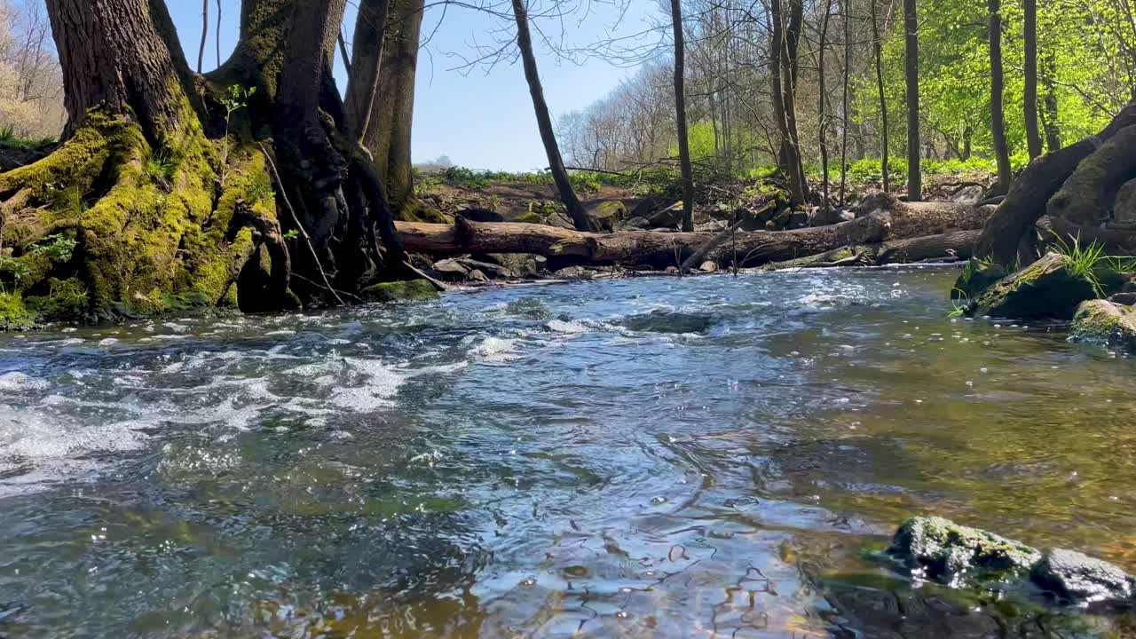 Vista ravvicinata di un ruscello che scorre continuamente attraverso un bellissimo parco in una soleggiata giornata estiva