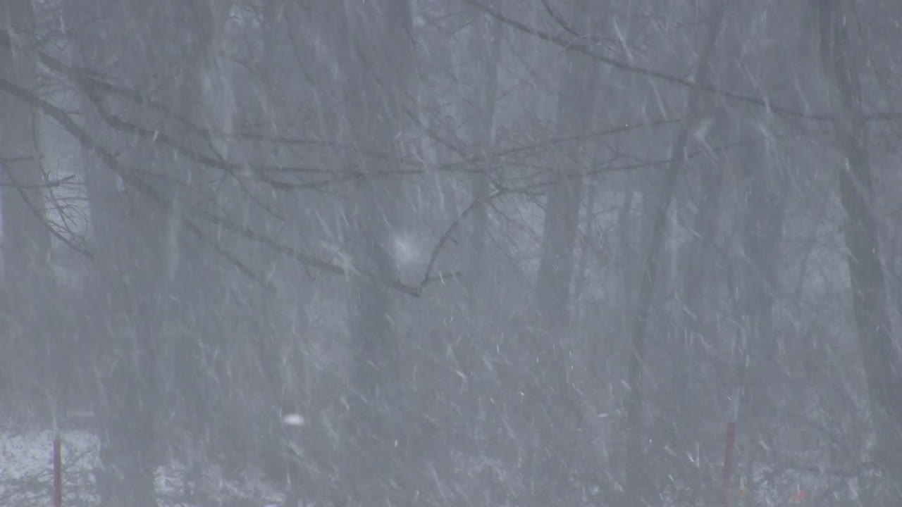 cae una ventisca y la nieve vuela