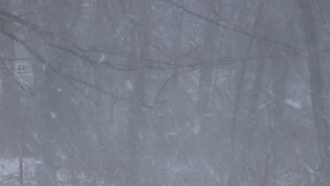 cae una ventisca y la nieve vuela