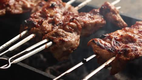 grilled pork skewers on a charcoal grill