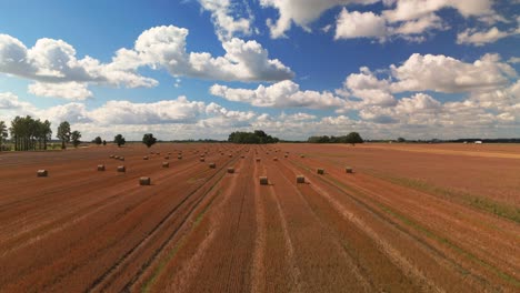 a wide aerial view of a harvested field with neatly arranged hay bales under a bright blue sky filled with fluffy clouds. ideal for themes related to agriculture, harvest season, and rural landscapes.