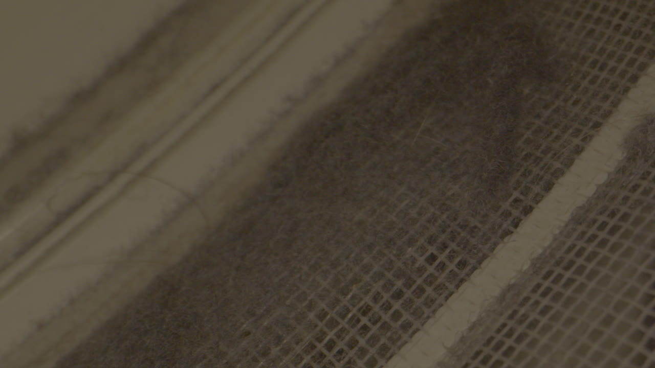 tiro macro de polvo y pelusa en la secadora de ropa