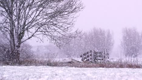 Malerische-Holländische-Winterlandschaft-Mit-Starkem-Schneefall-Auf-Dem-Land