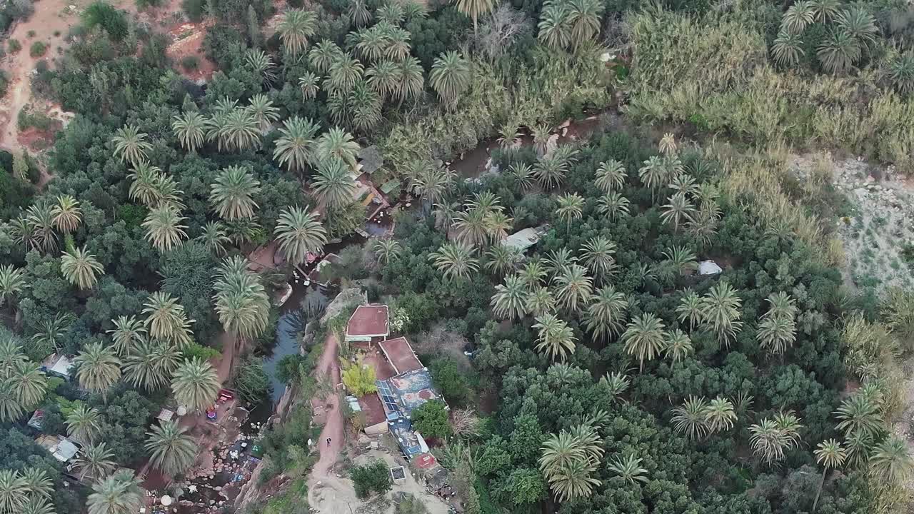 Veduta aerea di palme e vegetazione in Marocco.