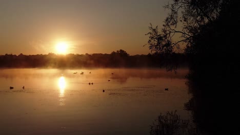 Silueta-De-Patos-Salvajes-En-Un-Lago-Durante-Un-Fascinante-Amanecer-Temprano-En-La-Mañana,-Toma-Cinematográfica-De-Animales-Retroiluminados