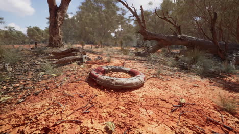 un salvavidas abandonado en un paisaje australiano polvoriento