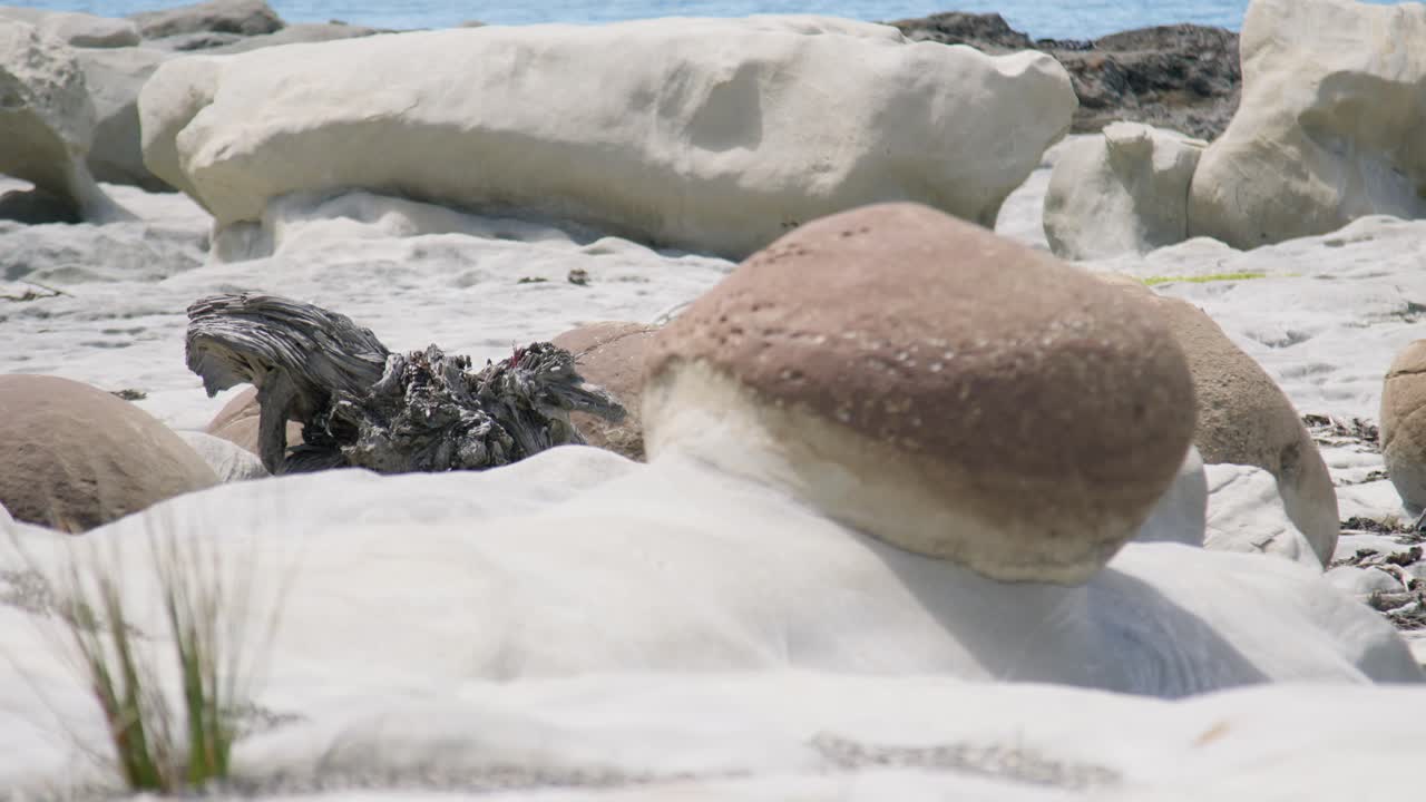 Focus pulling to a round boulder on Ward beach in New Zealand