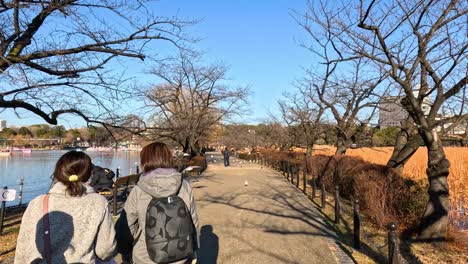 group of friends enjoying a walk in the park