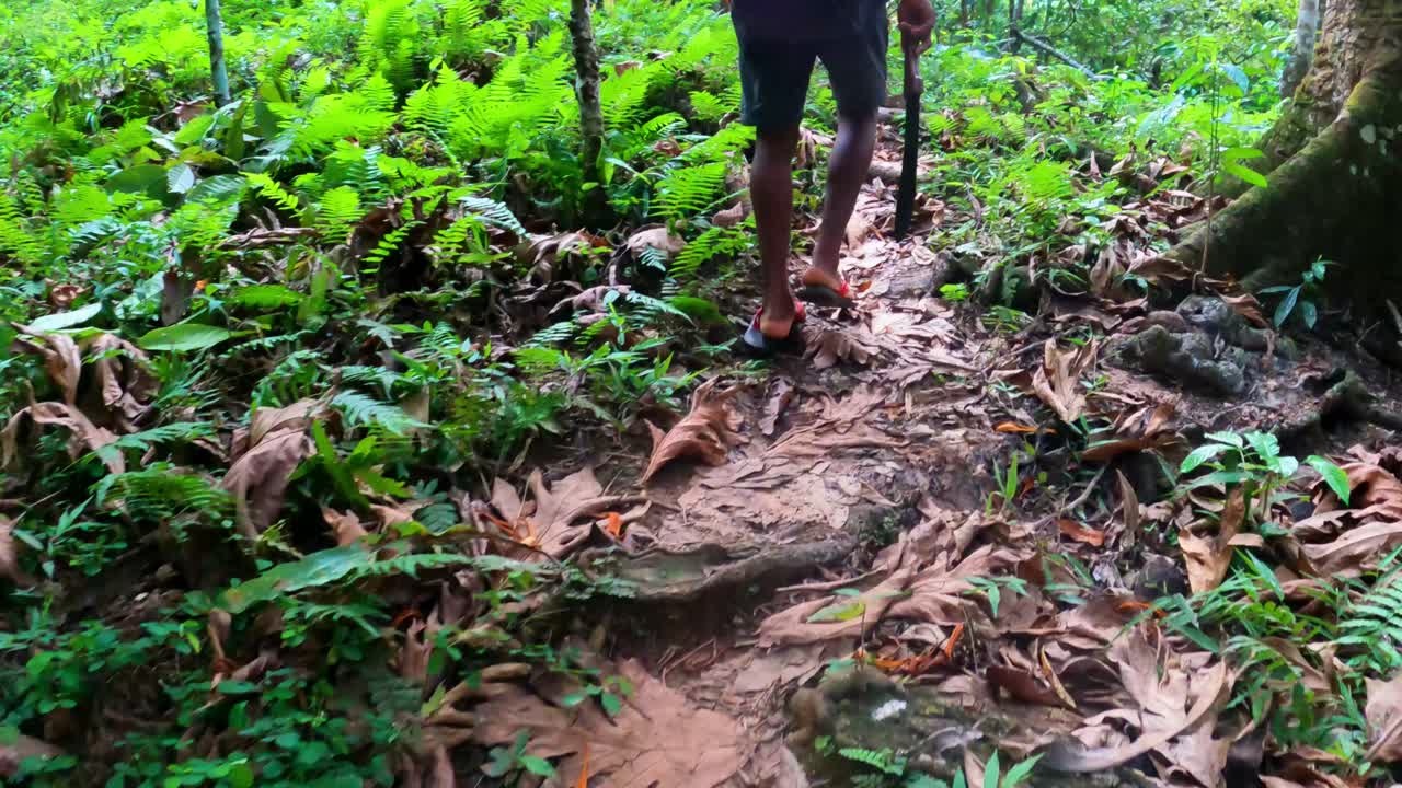 vista de un hombre africano caminando por el bosque con un machete en la mano, são tomé, áfrica