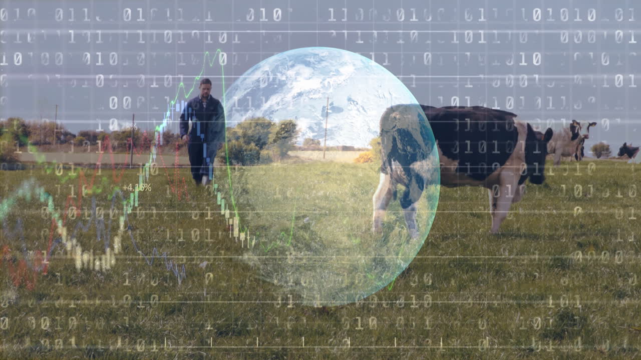 바이너리 코드 및 재무 데이터 애니메이션을 통해 농부와 소를 현장에서 볼 수 있습니다.
