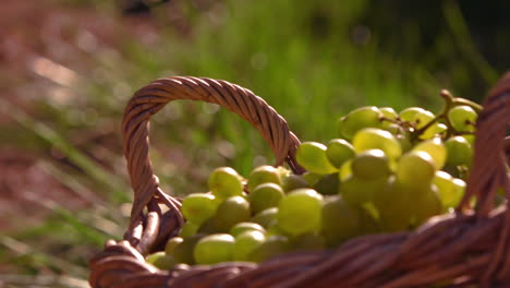 uvas en una canasta en cámara lenta