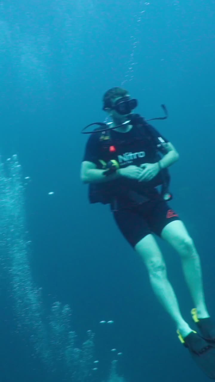Underwater scene with fish and coral