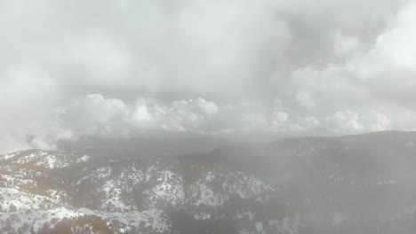 bosque nevado a través de nubes montaña