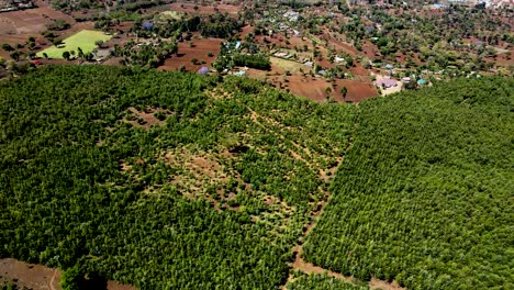 drone view- africa forest- africa bush fire