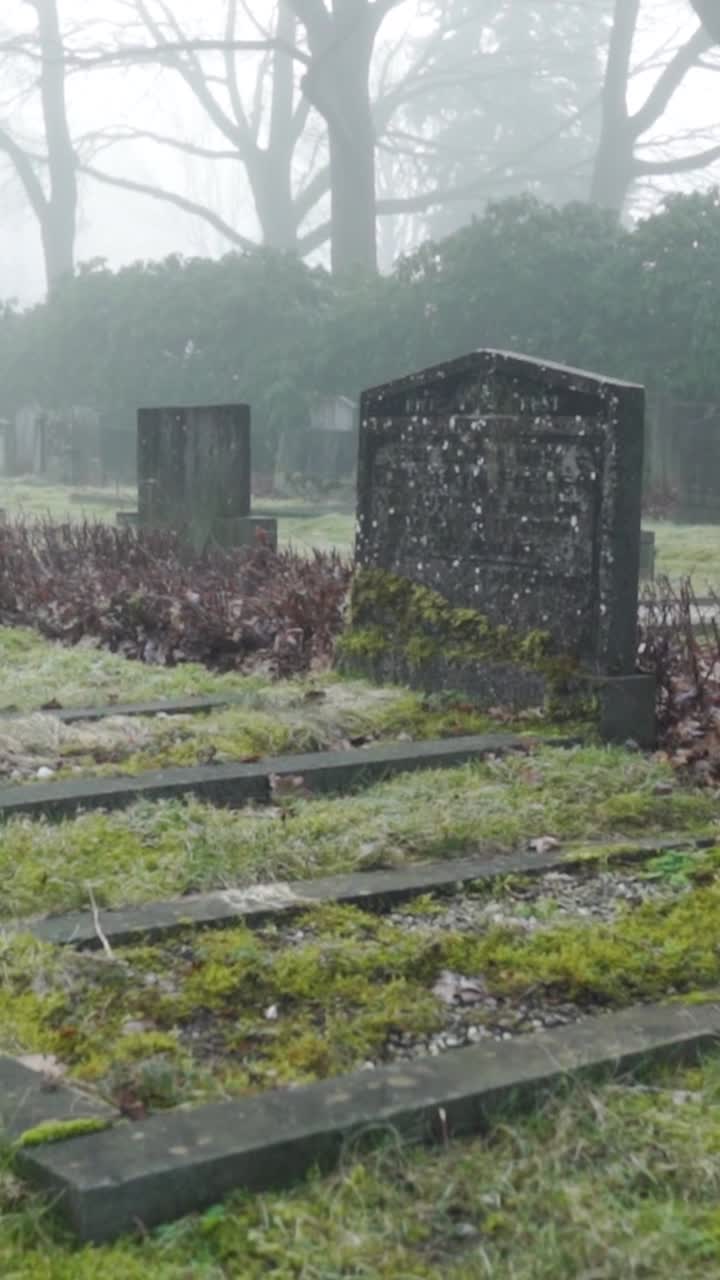 cementerio de niebla