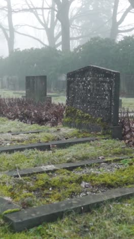 foggy cemetery