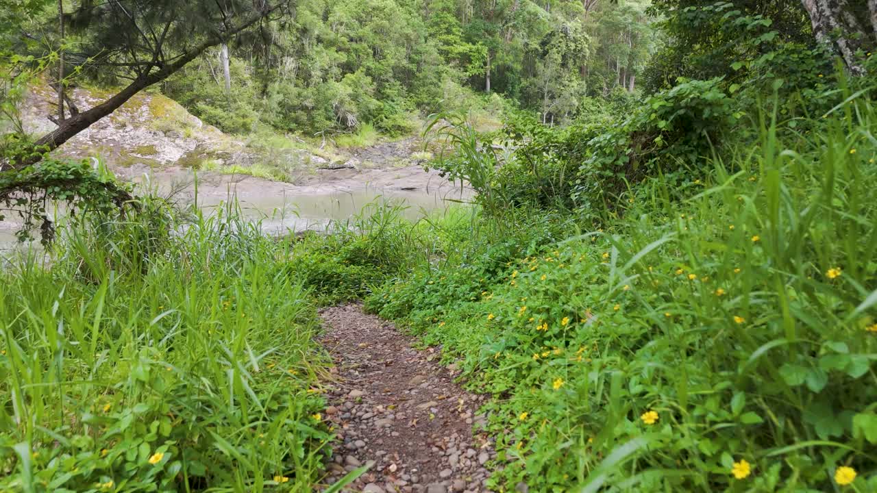 강과 숲의 풍경