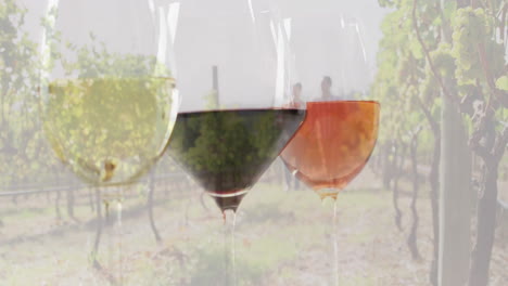 compuesto de copas de vino blanco, rosado y rojo sobre un fondo de viña