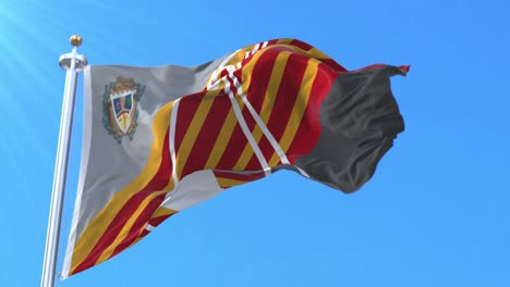 barquisimeto flag, venezuela. loop
