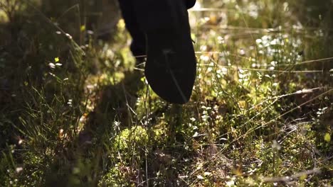 Slow-motion-shot-of-following-the-footsteps-of-someone-moving-through-a-forest-environment