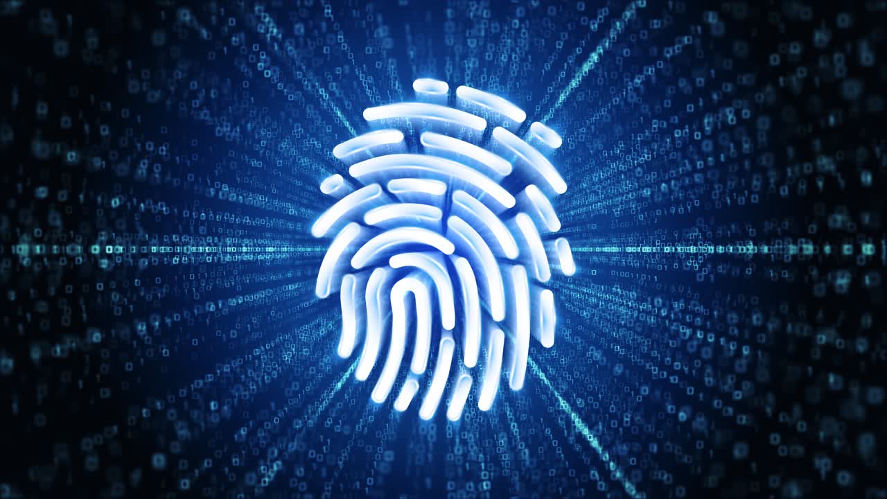 Fingerprint Security Concept
